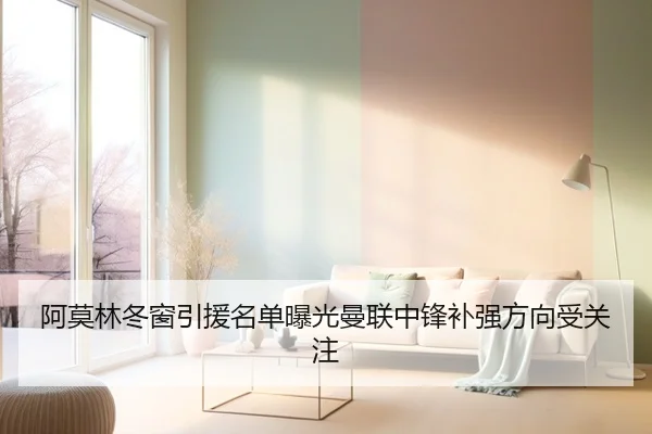阿莫林冬窗引援名单曝光曼联中锋补强方向受关注